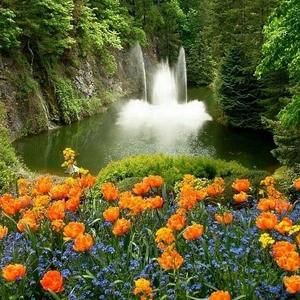 Meet your Posher, Angel